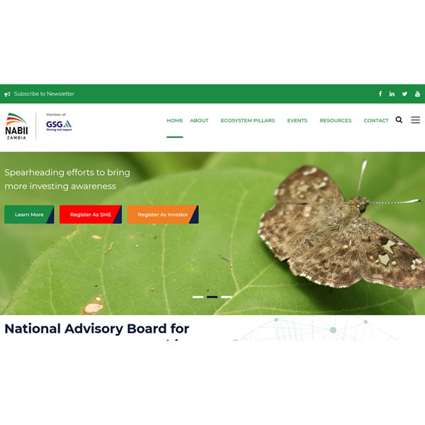Website design for National Advisory Board for Impact Investment Zambia, Lusaka, Zambia