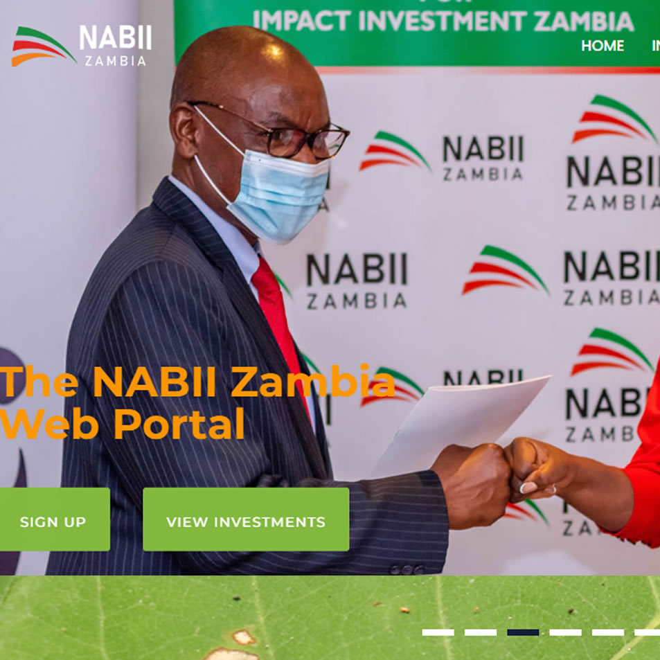 Development of online data repository for National Advisory Board for Impact Investment Zambia, Lusaka, Zambia